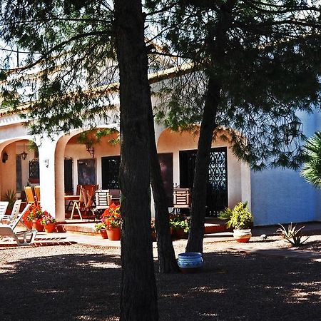 Casa Del Artista Bed & Breakfast Elche Exterior foto