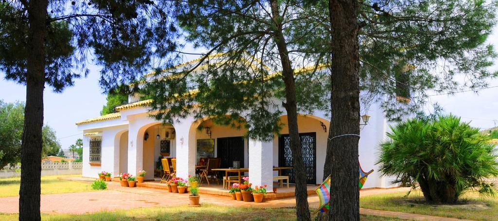 Casa Del Artista Bed & Breakfast Elche Exterior foto